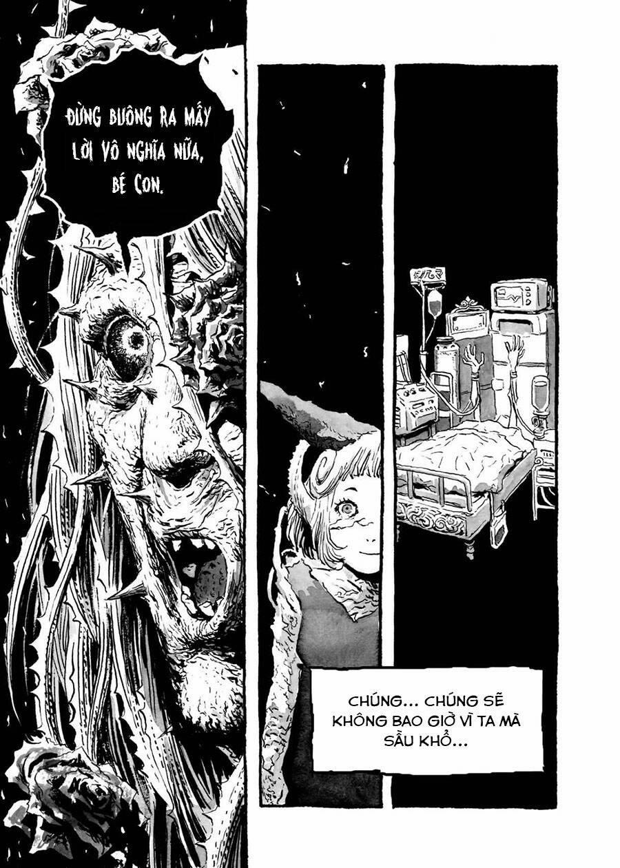 Bibliomania 5 trang 13