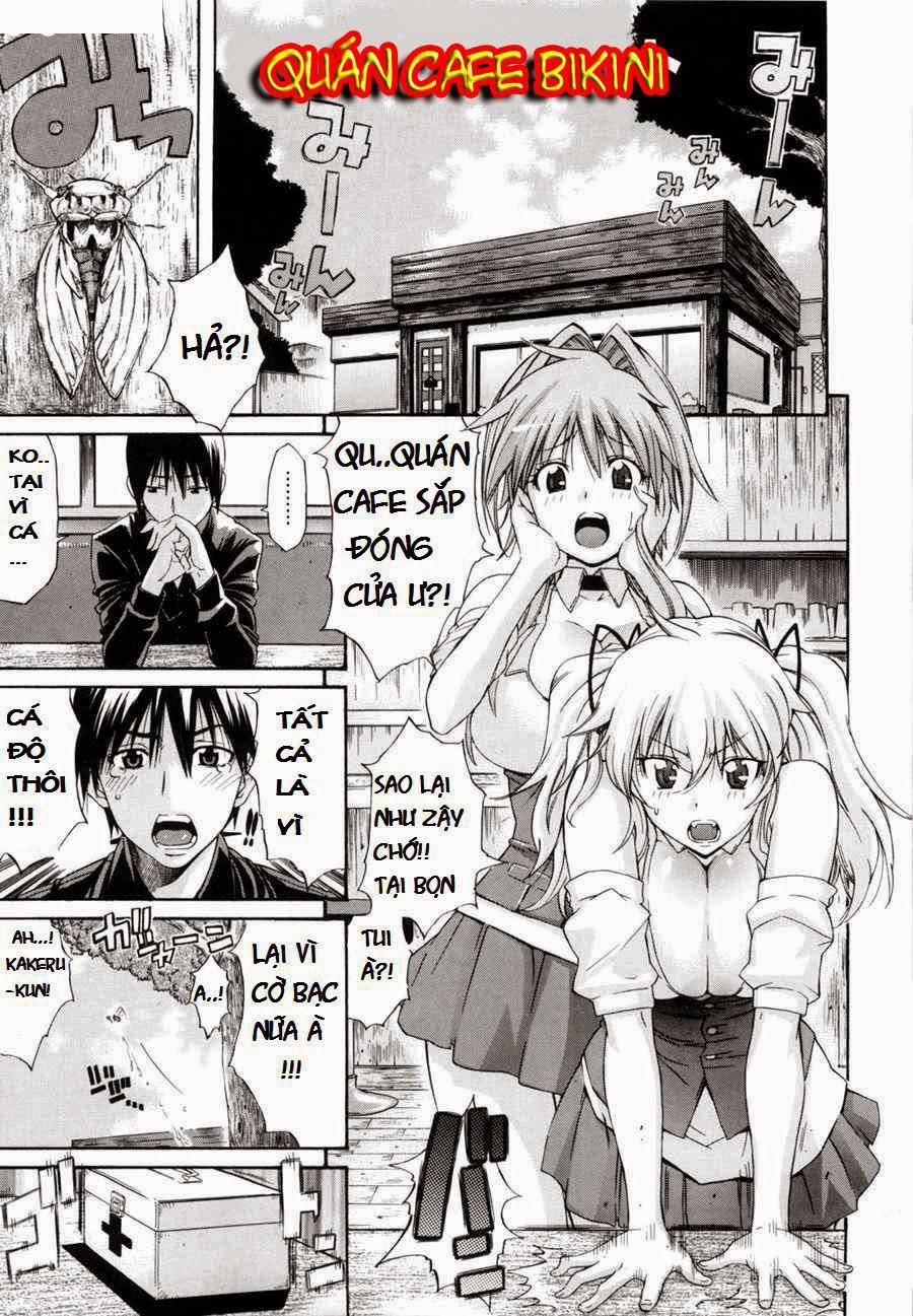 Bikini Cafe Oneshot trang 0