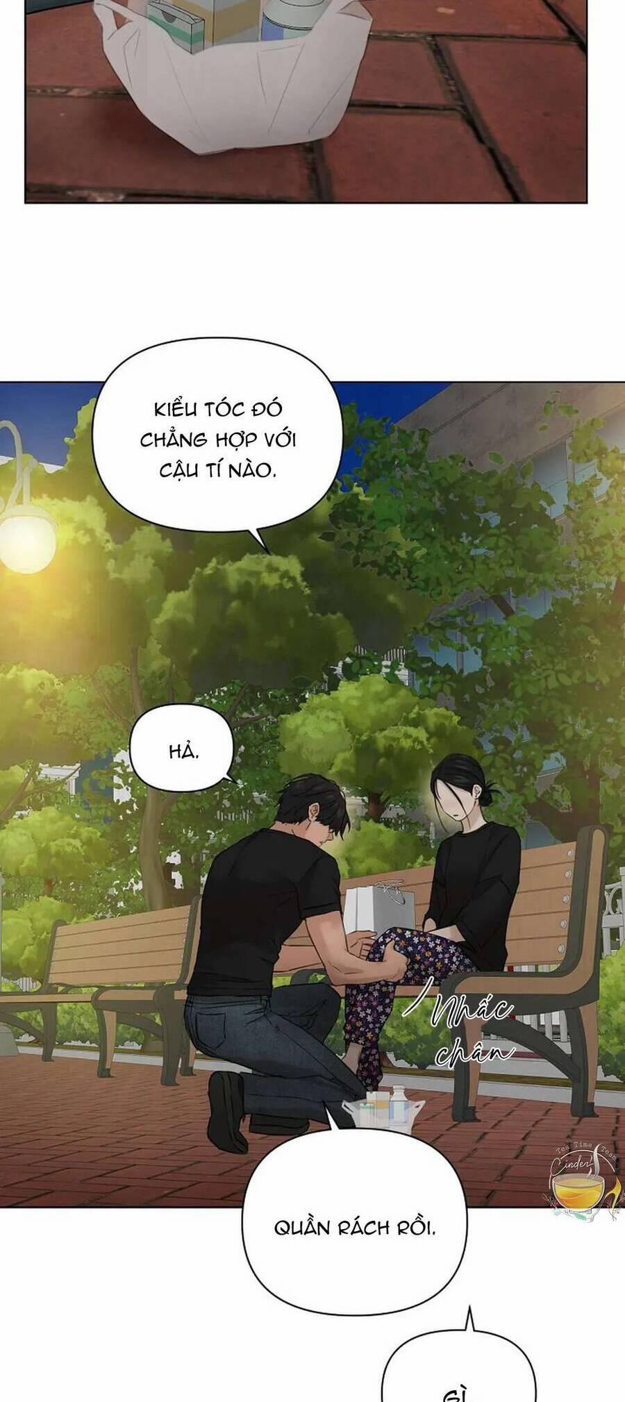 Bình Minh 36 trang 7