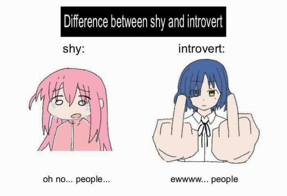 Bocchi The Rock! 4 trang 11