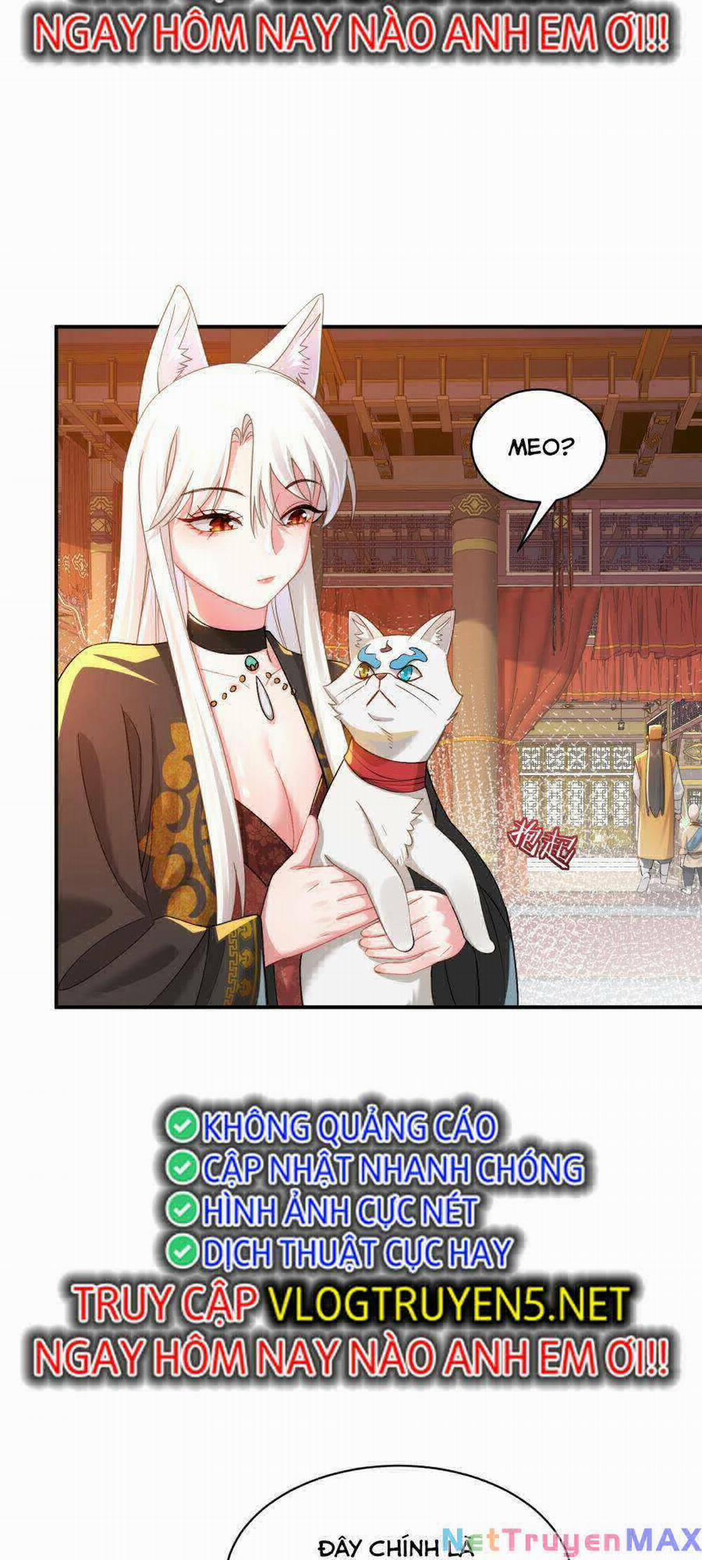Bói Toán Mà Thôi, Cửu Vĩ Yêu Đế Sao Lại Thành Nương Tử Ta?! 21 trang 46