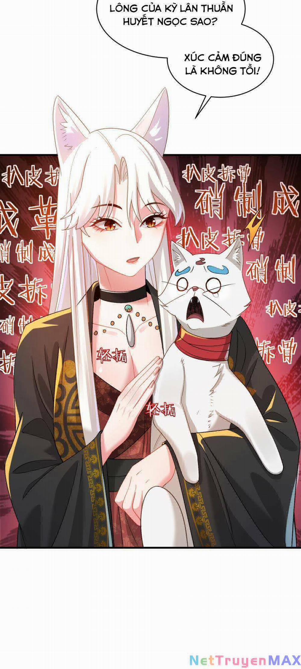 Bói Toán Mà Thôi, Cửu Vĩ Yêu Đế Sao Lại Thành Nương Tử Ta?! 21 trang 47