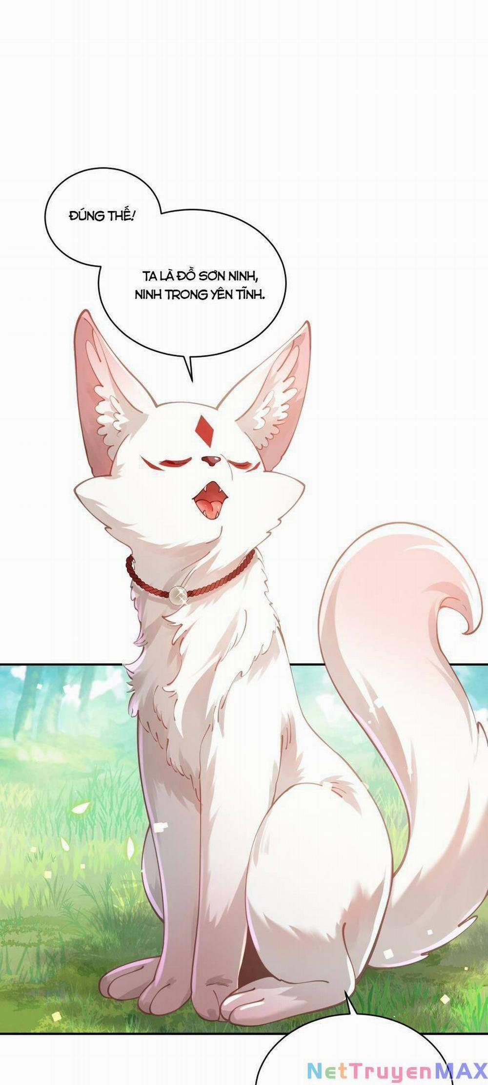 Bói Toán Mà Thôi, Cửu Vĩ Yêu Đế Sao Lại Thành Nương Tử Ta?! 22 trang 44