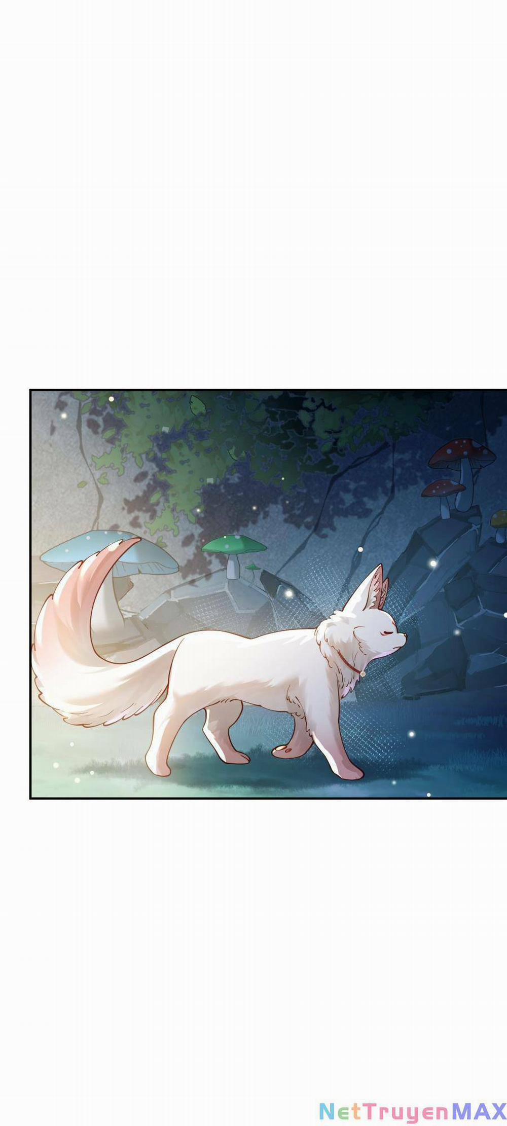 Bói Toán Mà Thôi, Cửu Vĩ Yêu Đế Sao Lại Thành Nương Tử Ta?! 22 trang 7