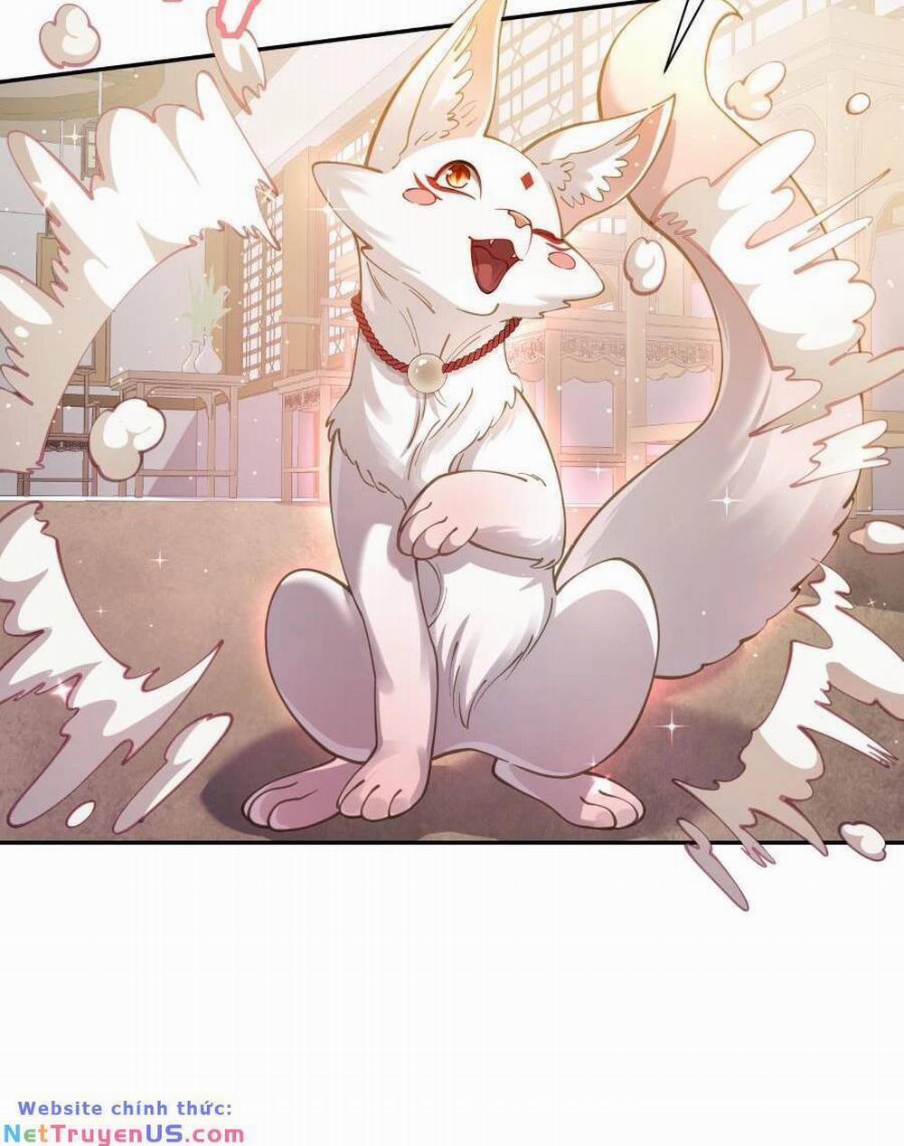 Bói Toán Mà Thôi, Cửu Vĩ Yêu Đế Sao Lại Thành Nương Tử Ta?! 24 trang 58