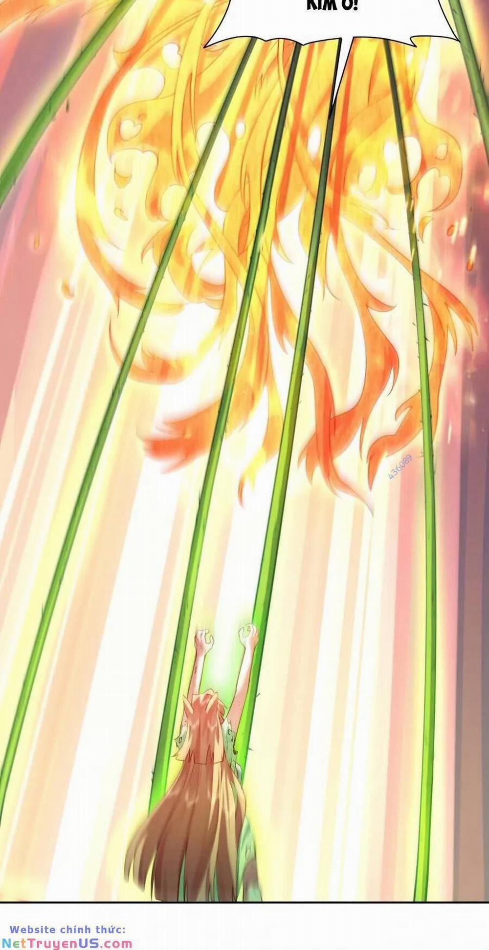 Bói Toán Mà Thôi, Cửu Vĩ Yêu Đế Sao Lại Thành Nương Tử Ta?! 28 trang 14