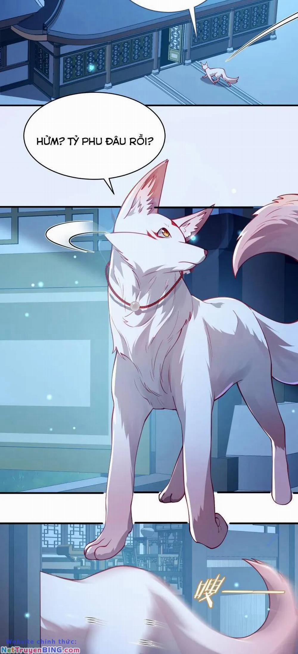 Bói Toán Mà Thôi, Cửu Vĩ Yêu Đế Sao Lại Thành Nương Tử Ta?! 34 trang 14