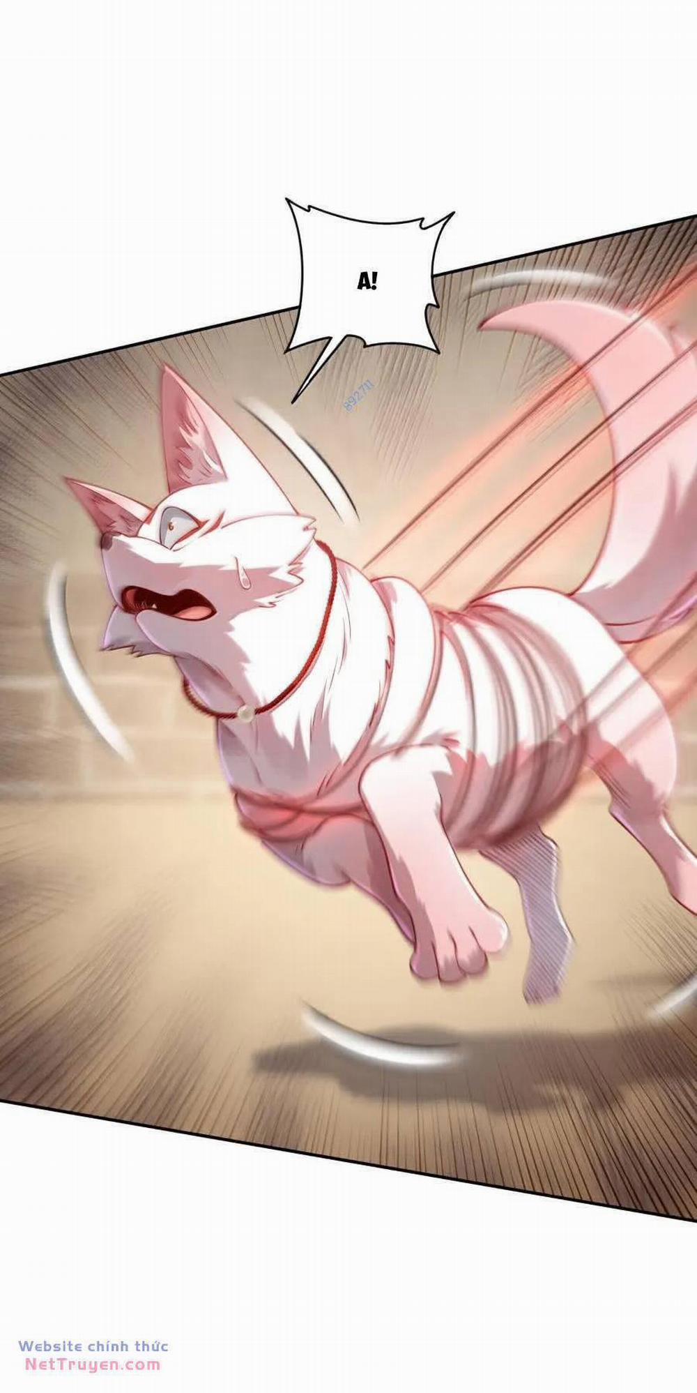 Bói Toán Mà Thôi, Cửu Vĩ Yêu Đế Sao Lại Thành Nương Tử Ta?! 42 trang 21