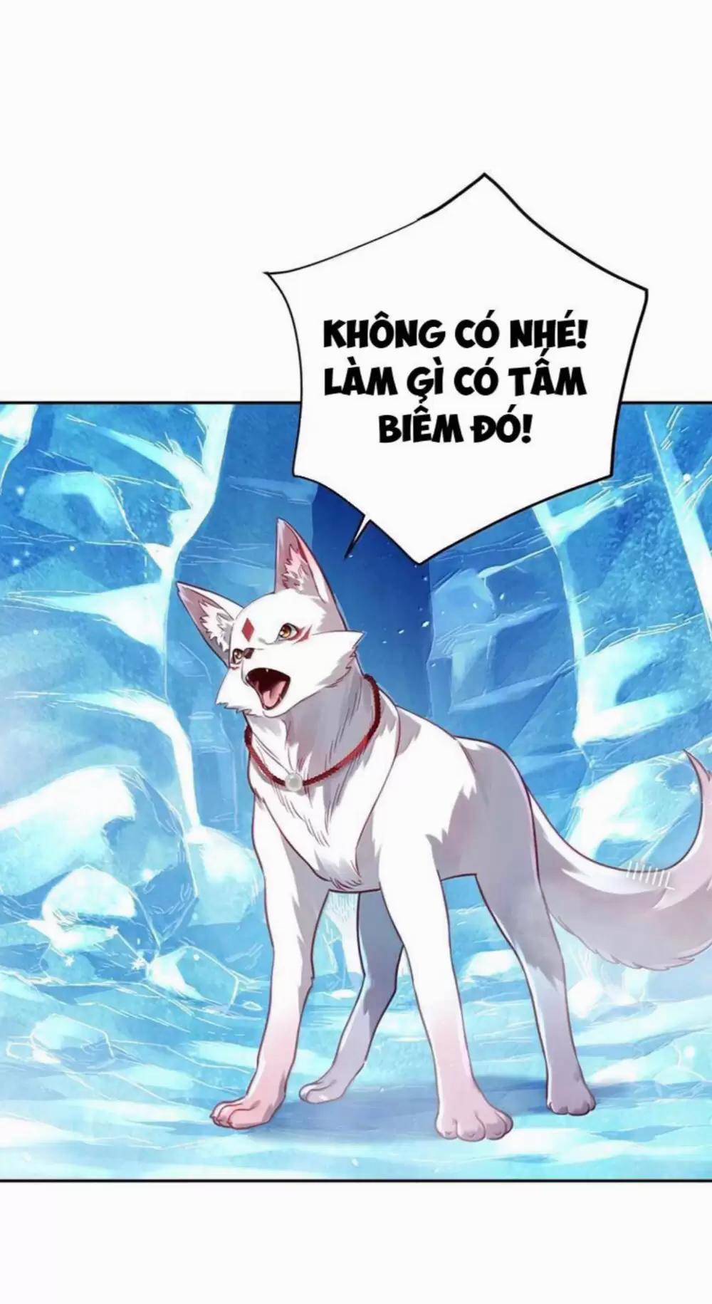 Bói Toán Mà Thôi, Cửu Vĩ Yêu Đế Sao Lại Thành Nương Tử Ta?! 51 trang 41