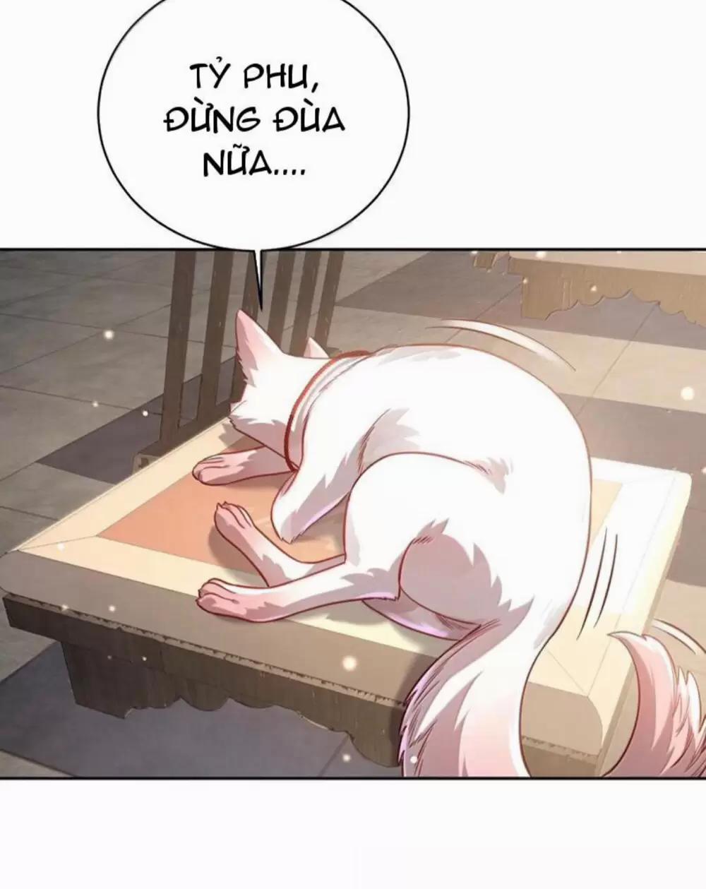 Bói Toán Mà Thôi, Cửu Vĩ Yêu Đế Sao Lại Thành Nương Tử Ta?! 51 trang 6