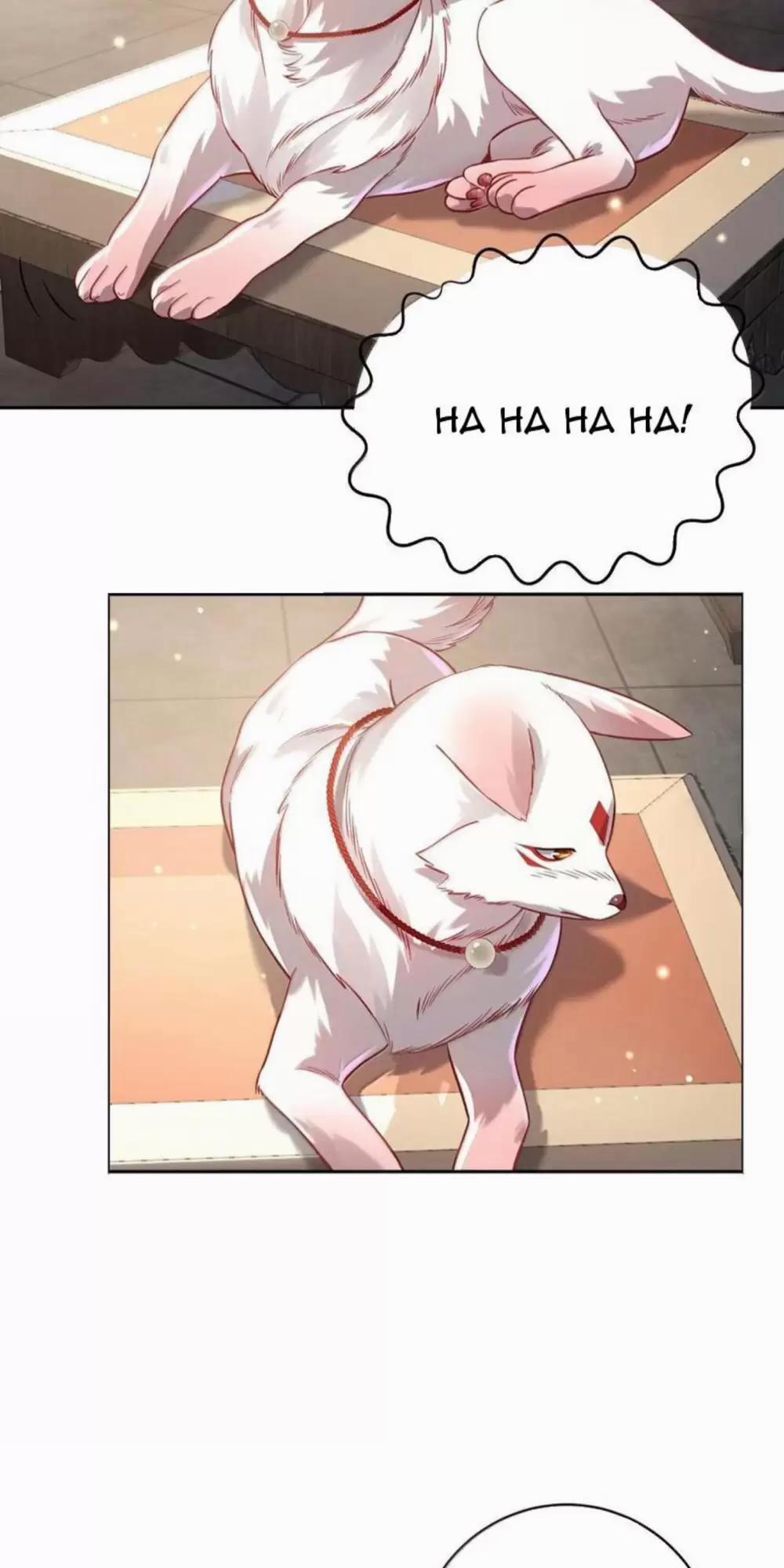 Bói Toán Mà Thôi, Cửu Vĩ Yêu Đế Sao Lại Thành Nương Tử Ta?! 51 trang 8