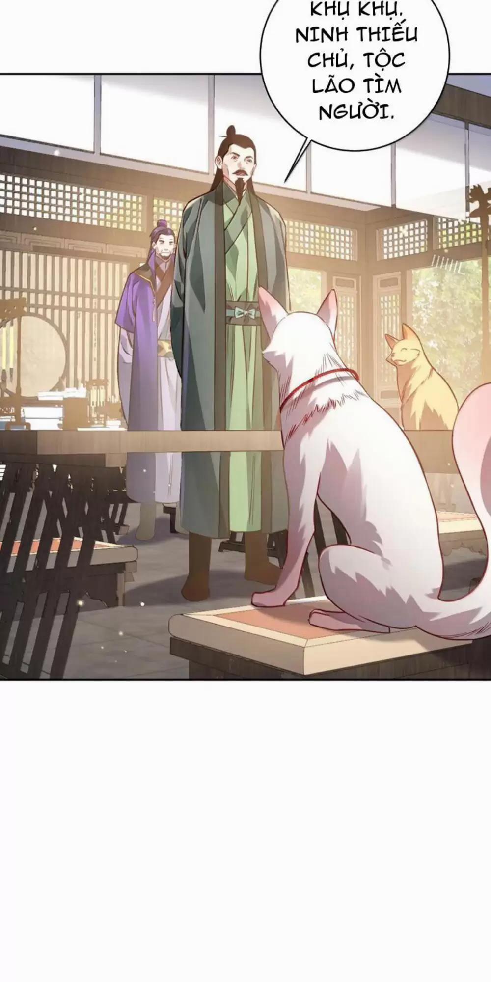 Bói Toán Mà Thôi, Cửu Vĩ Yêu Đế Sao Lại Thành Nương Tử Ta?! 51 trang 9