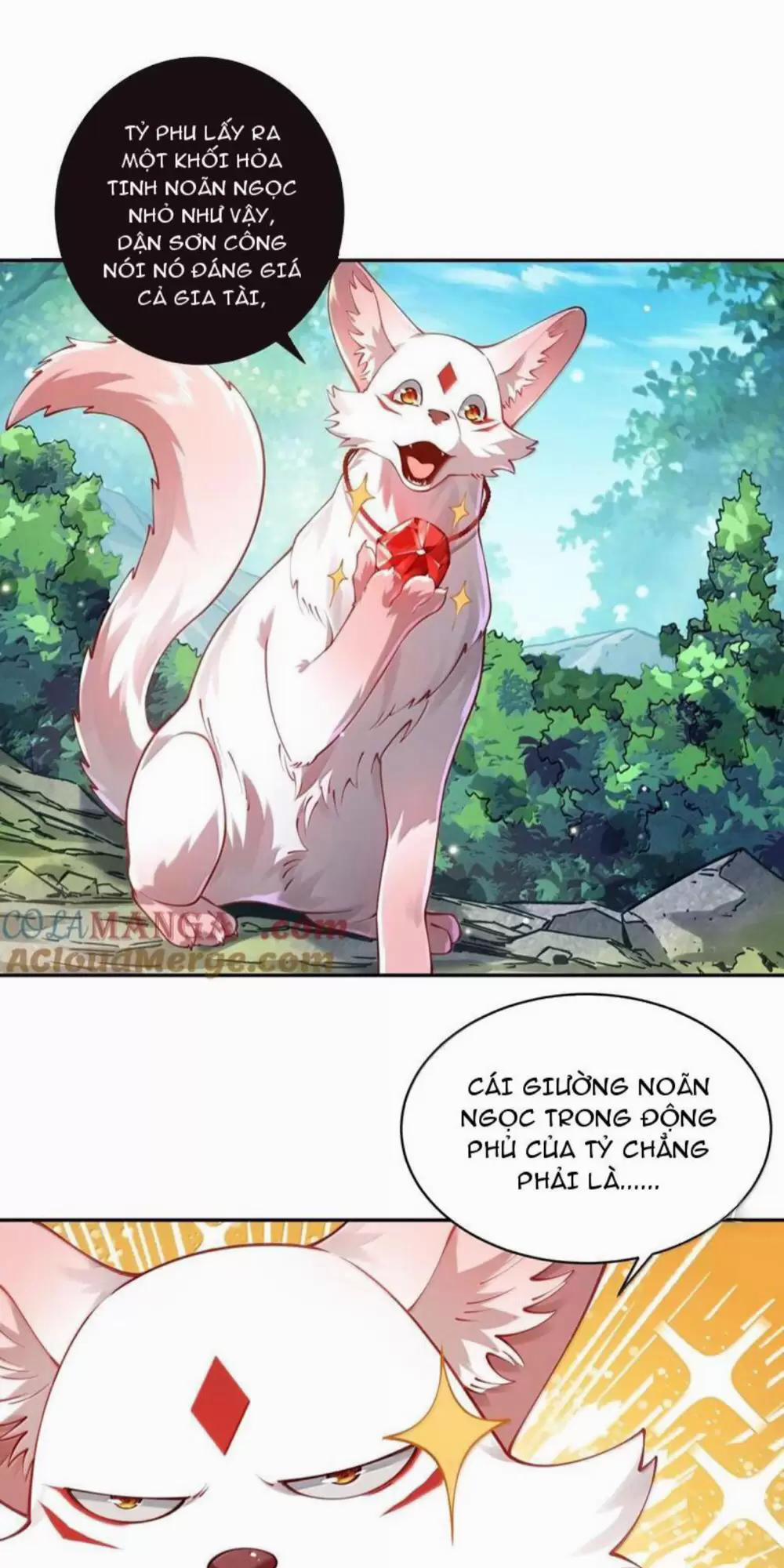 Bói Toán Mà Thôi, Cửu Vĩ Yêu Đế Sao Lại Thành Nương Tử Ta?! 53 trang 1