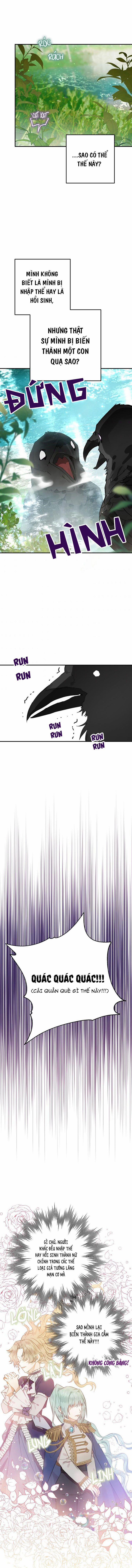 Bỗng Nhiên Tôi Trở Thành Quạ Đen!! 1 trang 5