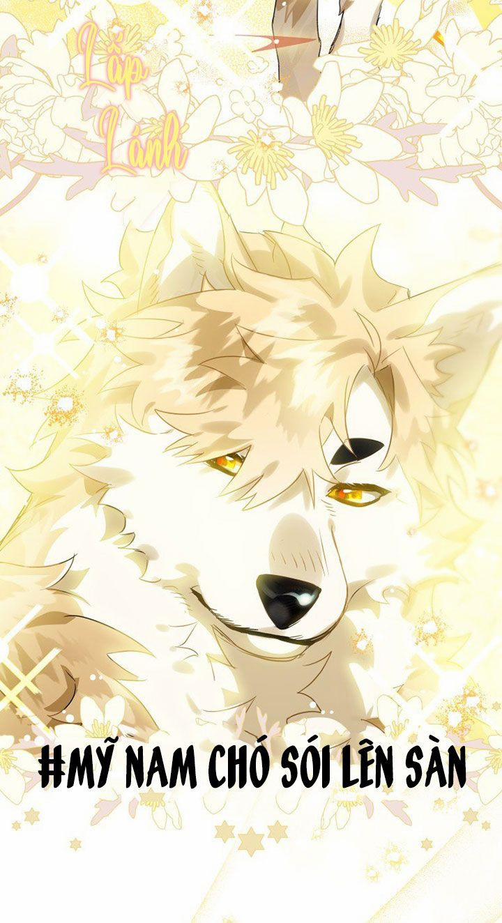 Bỗng Nhiên Tôi Trở Thành Quạ Đen!! 13 trang 7