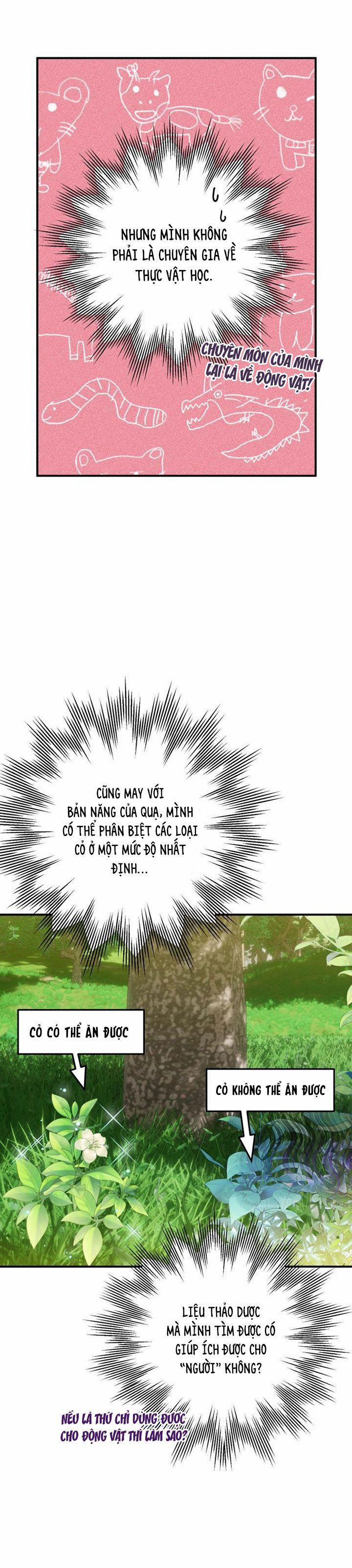 Bỗng Nhiên Tôi Trở Thành Quạ Đen!! 2 trang 17