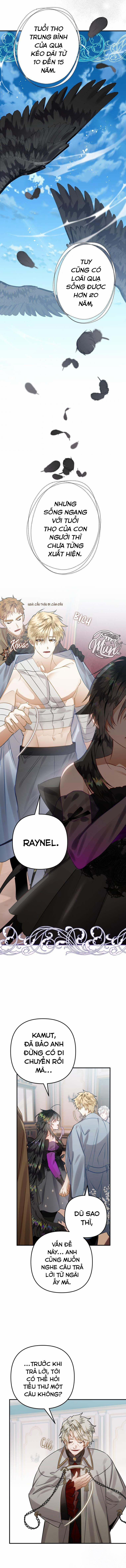 Bỗng Nhiên Tôi Trở Thành Quạ Đen!! 31 trang 5