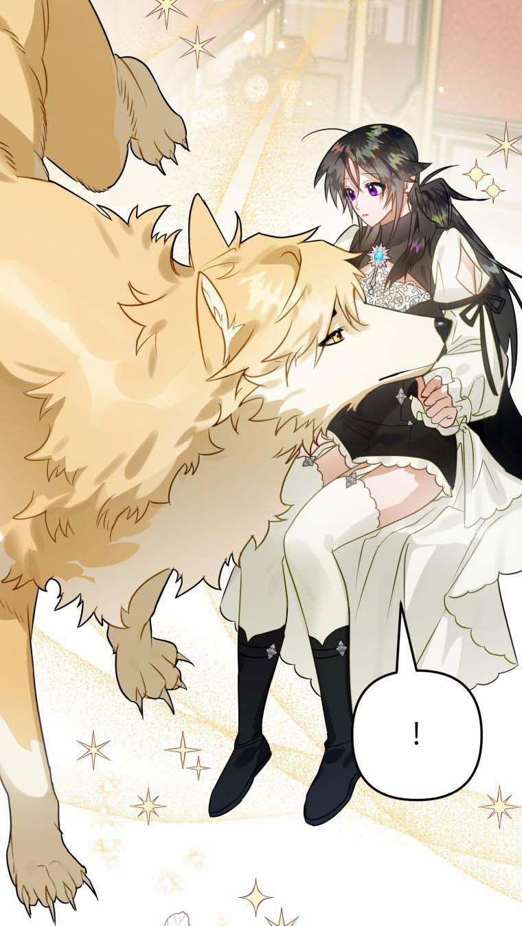 Bỗng Nhiên Tôi Trở Thành Quạ Đen!! 37 trang 21