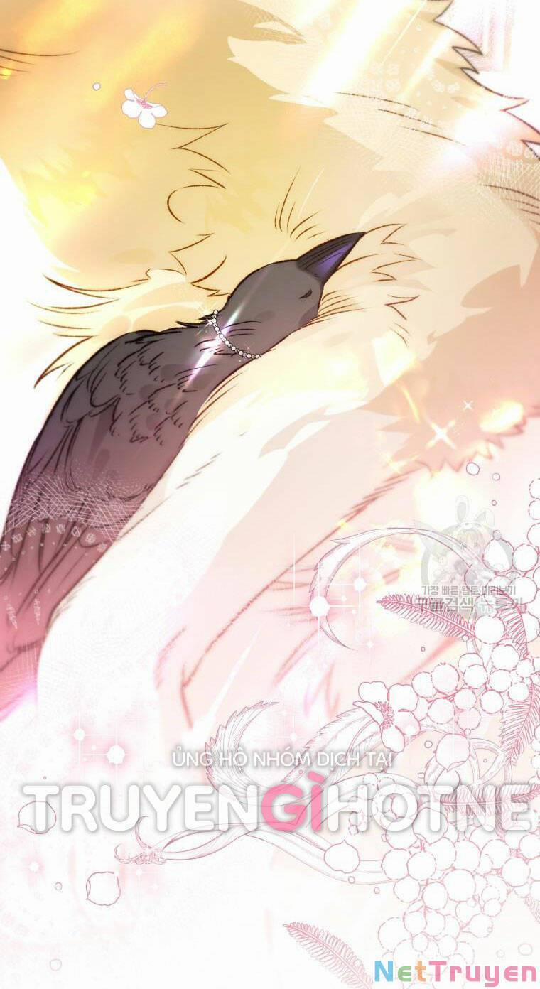 Bỗng Nhiên Tôi Trở Thành Quạ Đen!! 69 trang 2