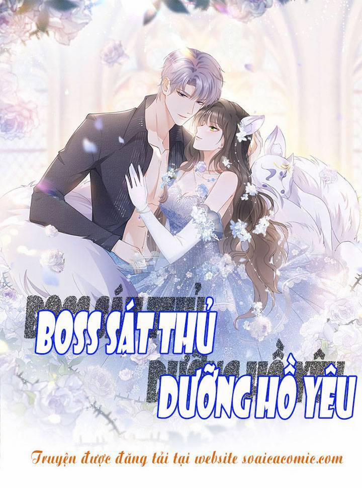 Boss Sát Thủ Dưỡng Hồ Yêu 31 trang 0