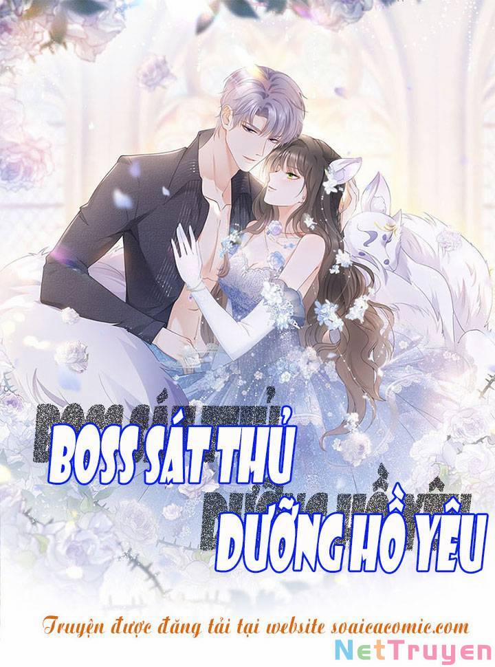 Boss Sát Thủ Dưỡng Hồ Yêu 39 trang 0