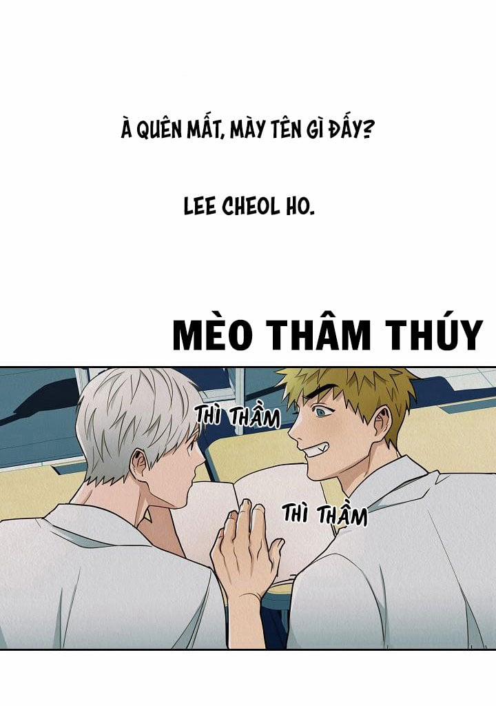 Boy Meets Girl 3 trang 17