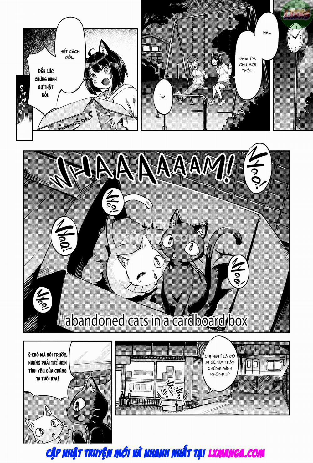 Bunny Mating Season 6 0 Uninvited Kitties trang 2