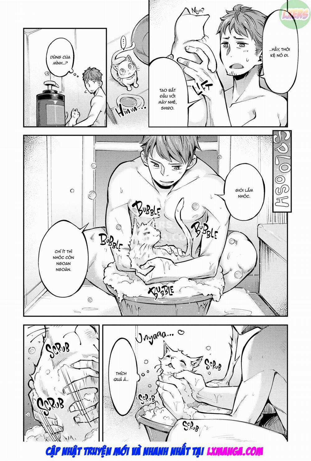 Bunny Mating Season 7 0 Unwashed Kitties trang 2