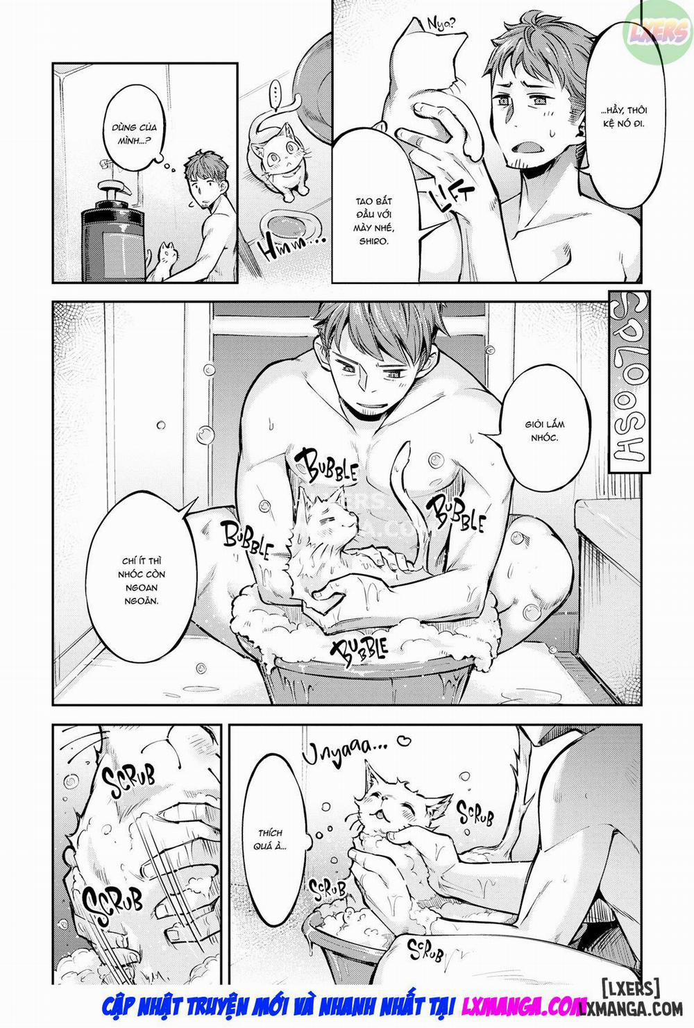 Bunny Mating Season 7 trang 4