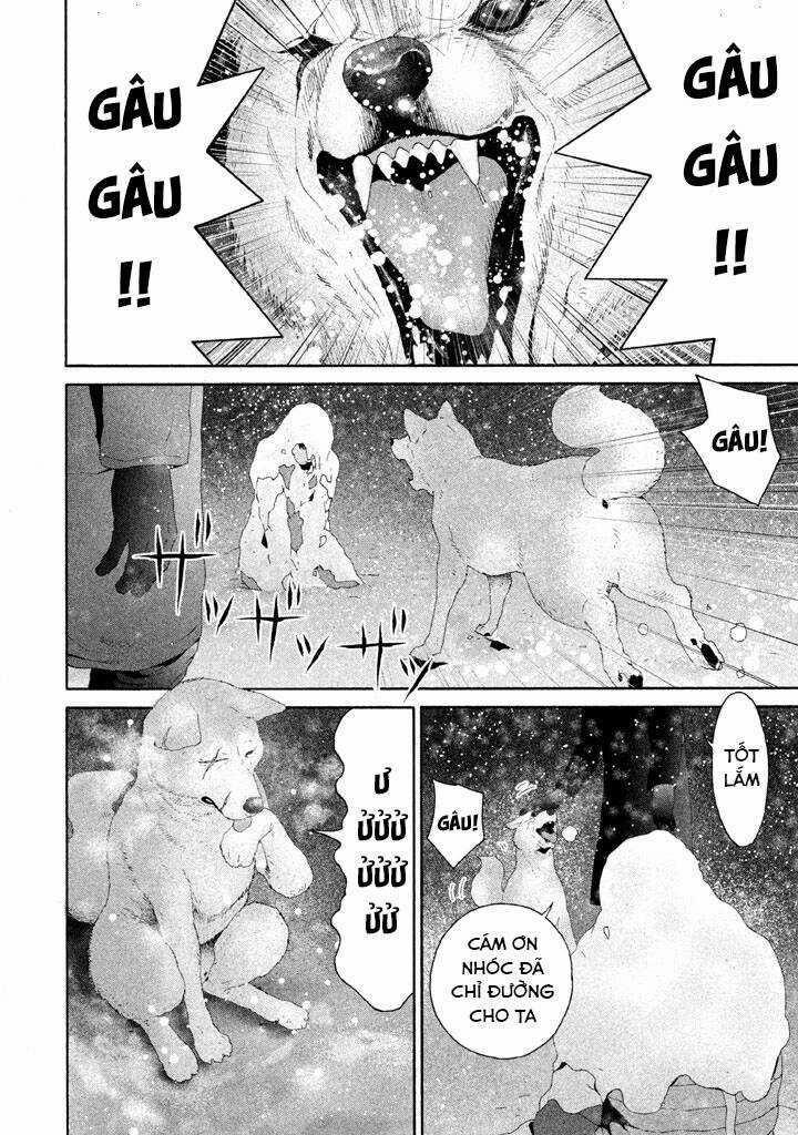 Cá Hồi 14 trang 25