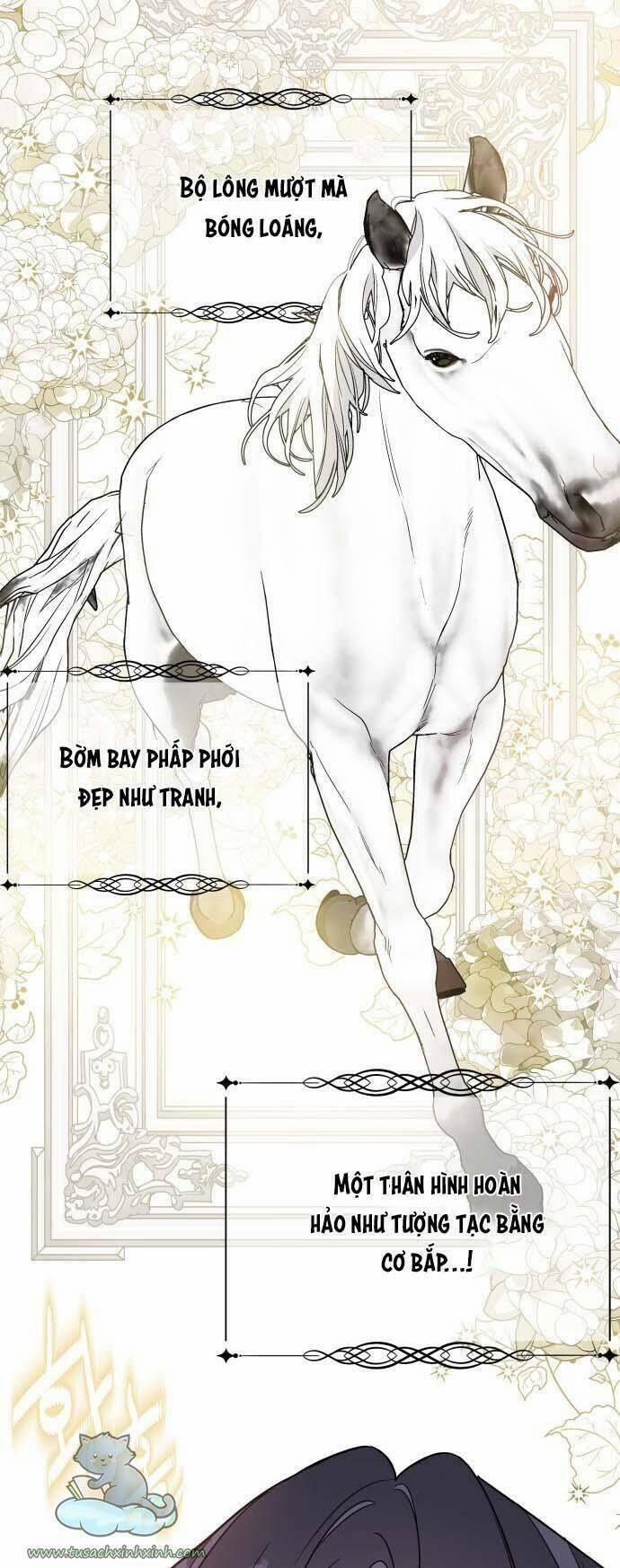 Cách Mà Kỵ Sĩ Sống Như Tiểu Thư 55 trang 65