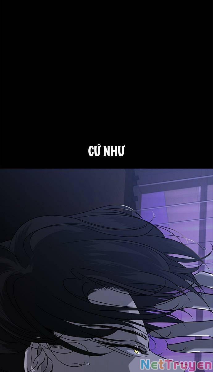 Cạm Bẫy 100 trang 1