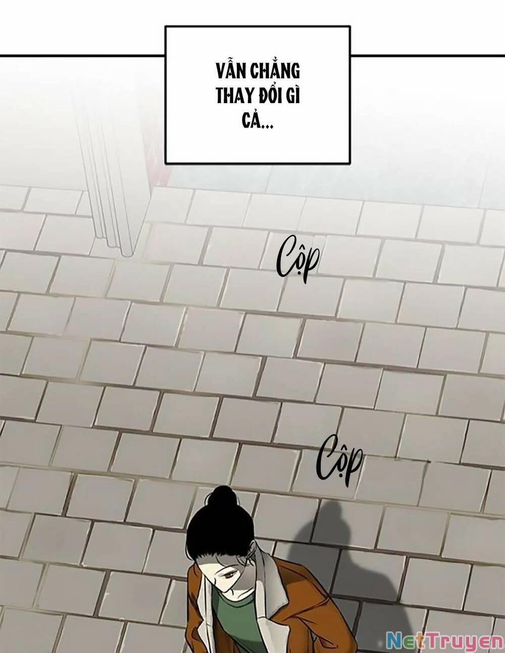 Cạm Bẫy 116 trang 5