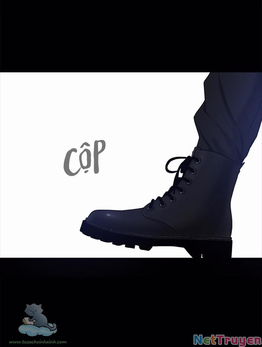 Cạm Bẫy 133 trang 22