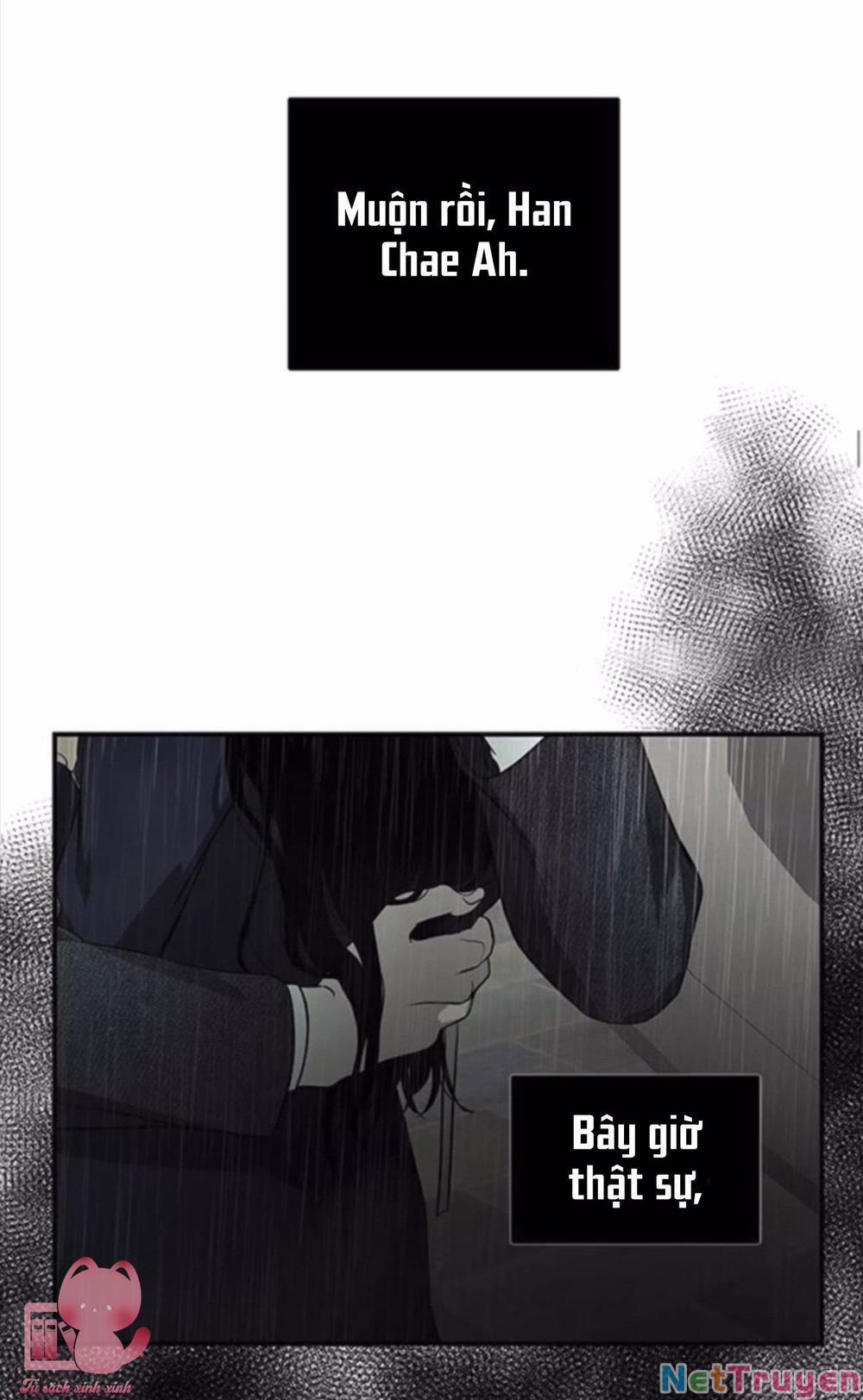 Cạm Bẫy 142 trang 49
