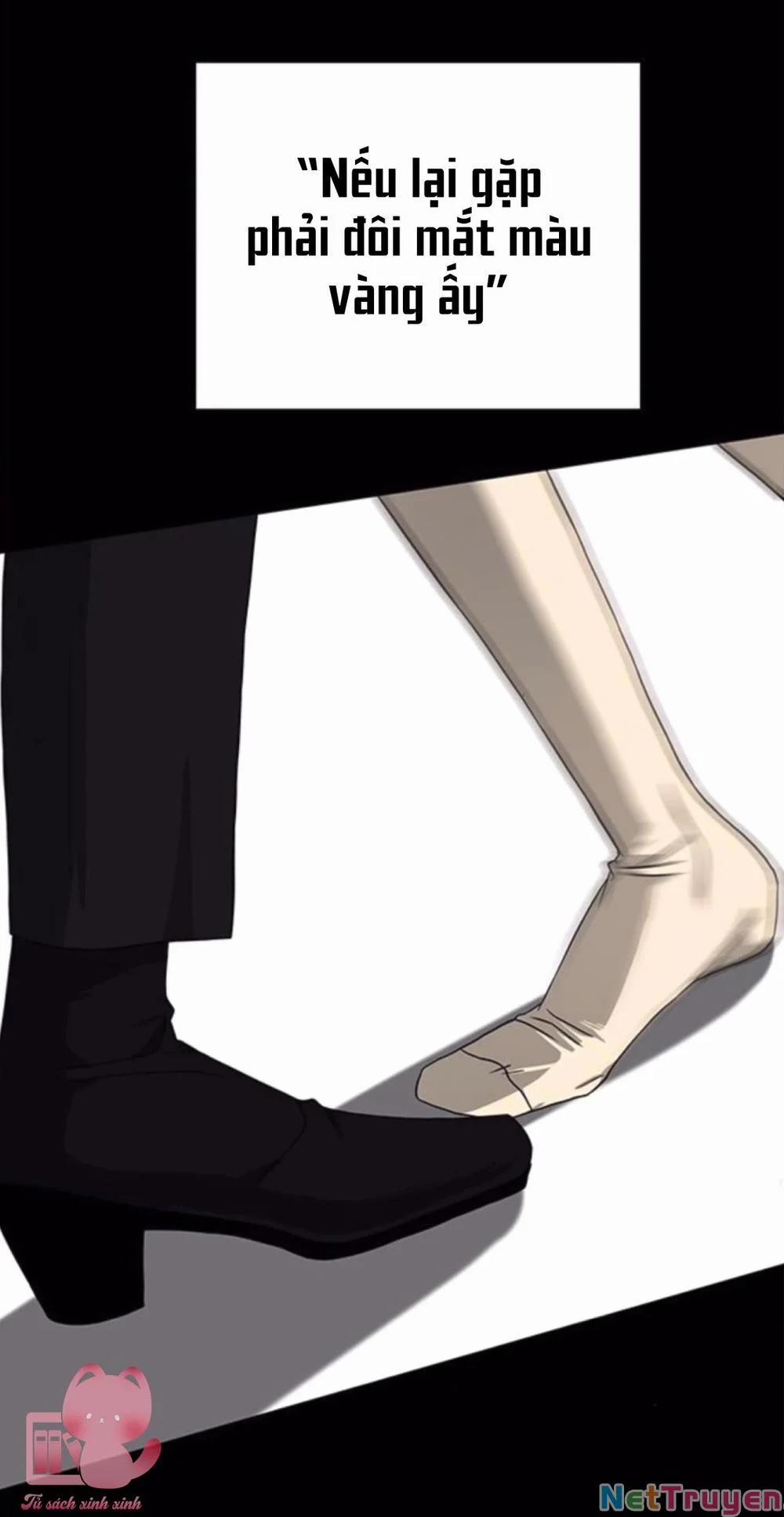 Cạm Bẫy 143 trang 95