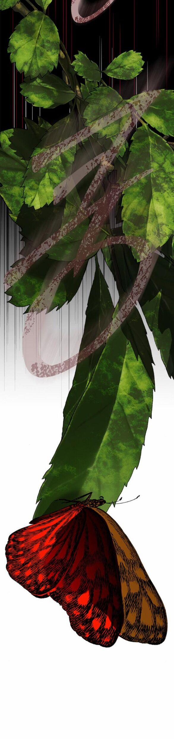 Cạm Bẫy 178.1 trang 47