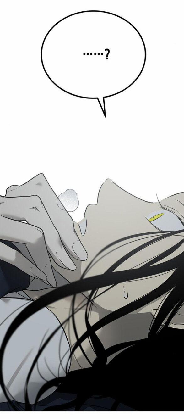 Cạm Bẫy 186.2 trang 1