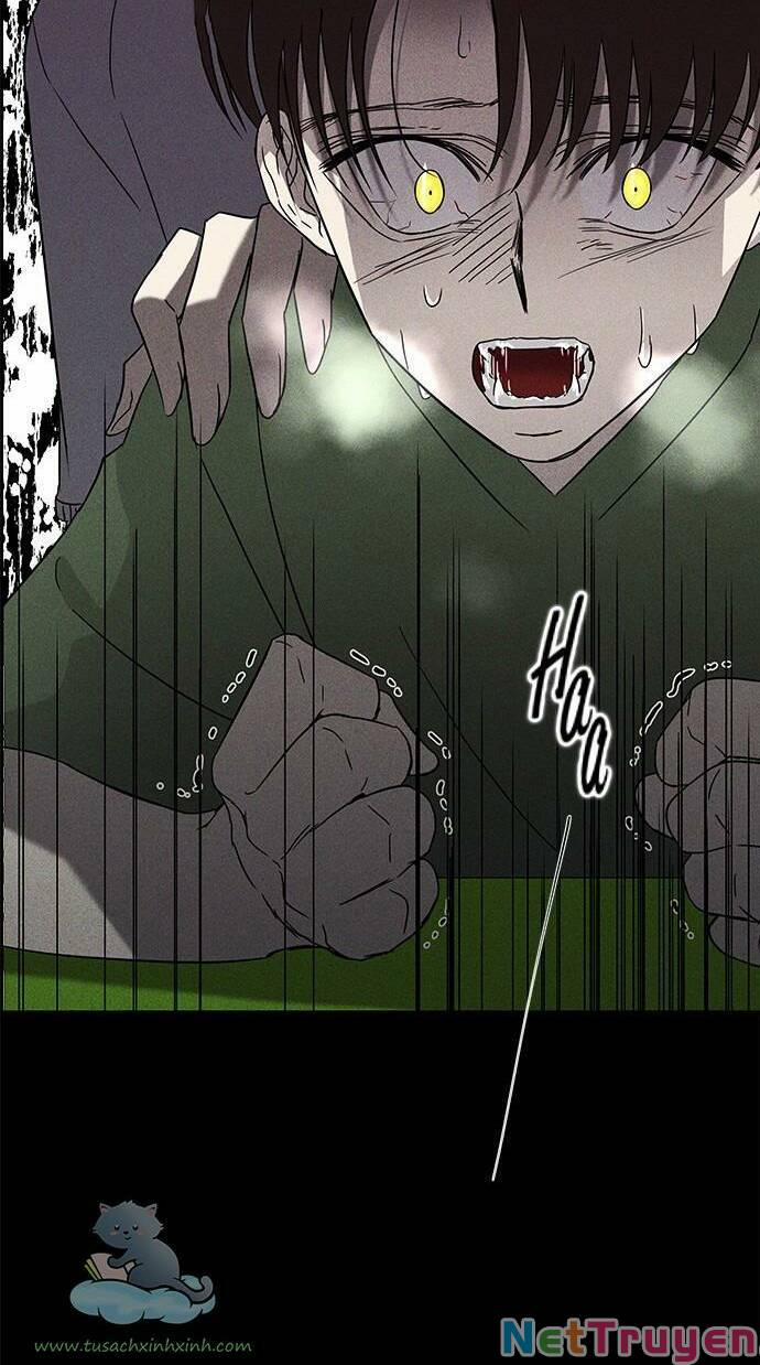 Cạm Bẫy 61 trang 1