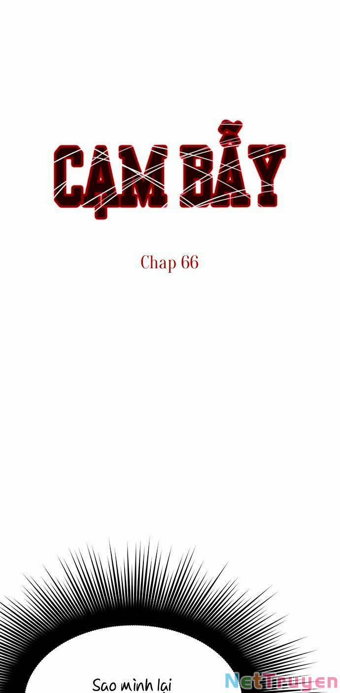 Cạm Bẫy 66 trang 0