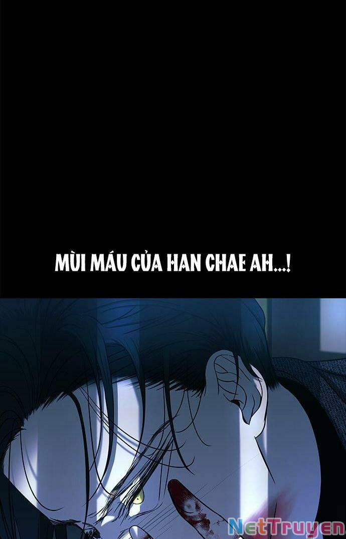 Cạm Bẫy 91 trang 4