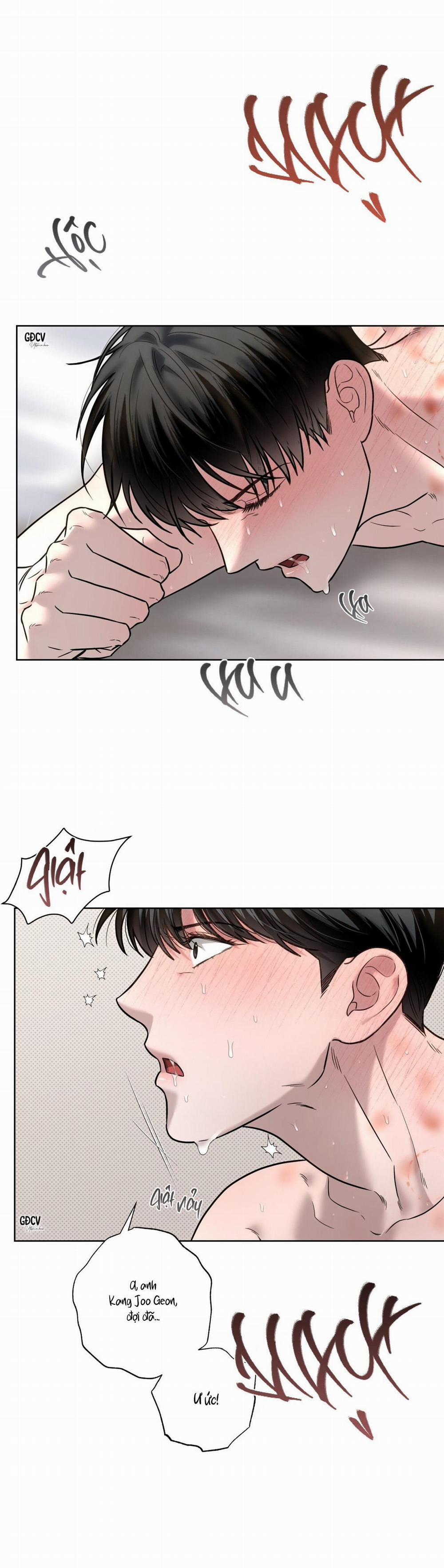 (Catch Up) Đuổi Bắt 8 18++ trang 1