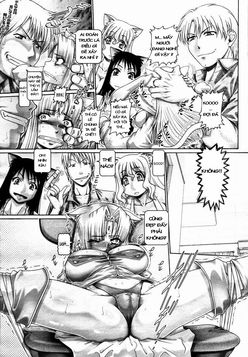 Catnip Panic 9 [END] trang 9