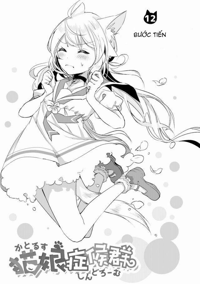 Catulus Syndrome 12 trang 1