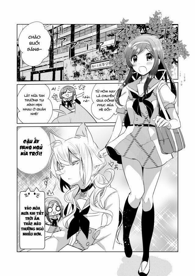 Catulus Syndrome 14 trang 1