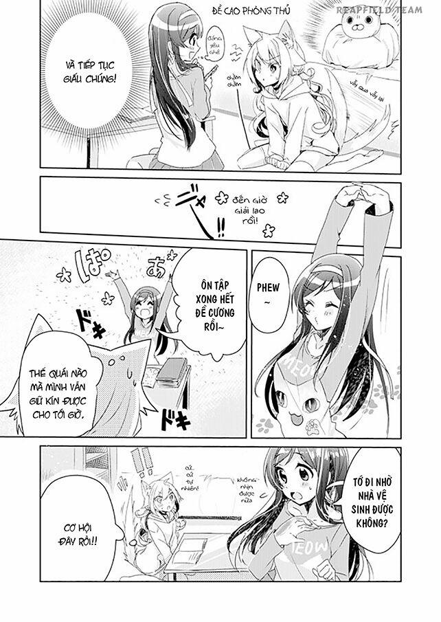 Catulus Syndrome 3 trang 9