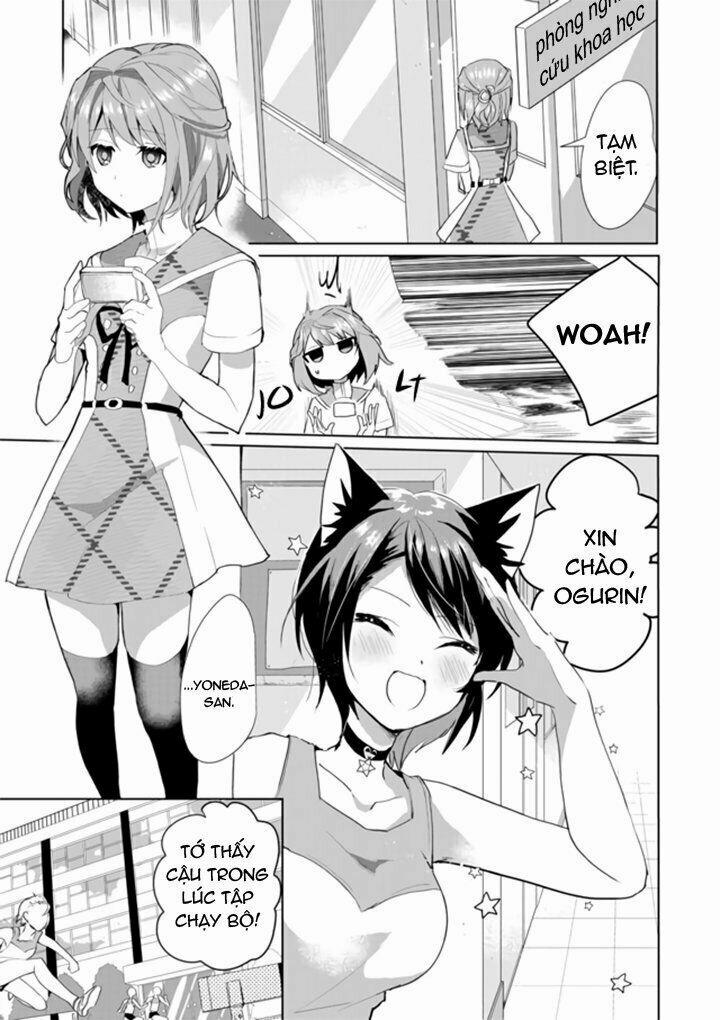 Catulus Syndrome 33 trang 2