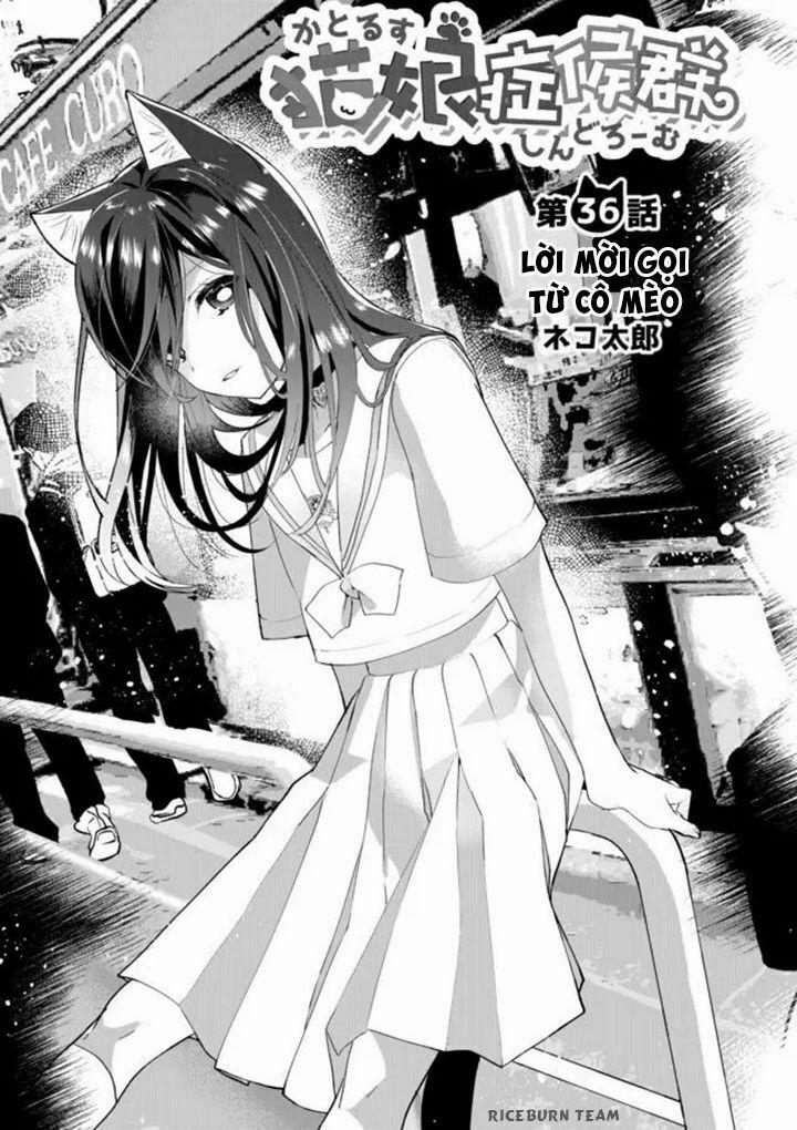 Catulus Syndrome 36 trang 1