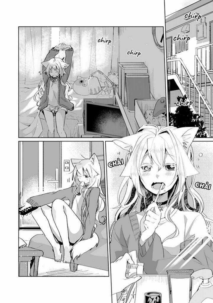 Catulus Syndrome 37 trang 1