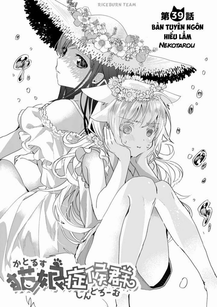 Catulus Syndrome 39 trang 1